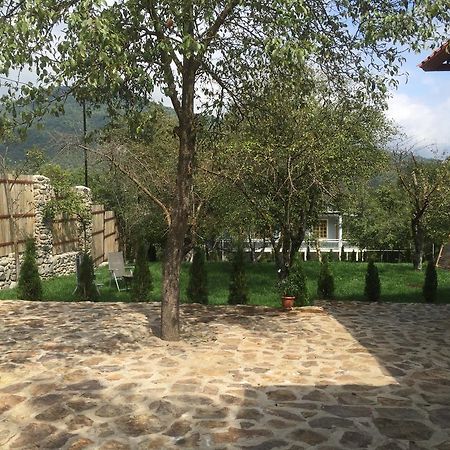 Villa Jrhogher Dilidjan Extérieur photo